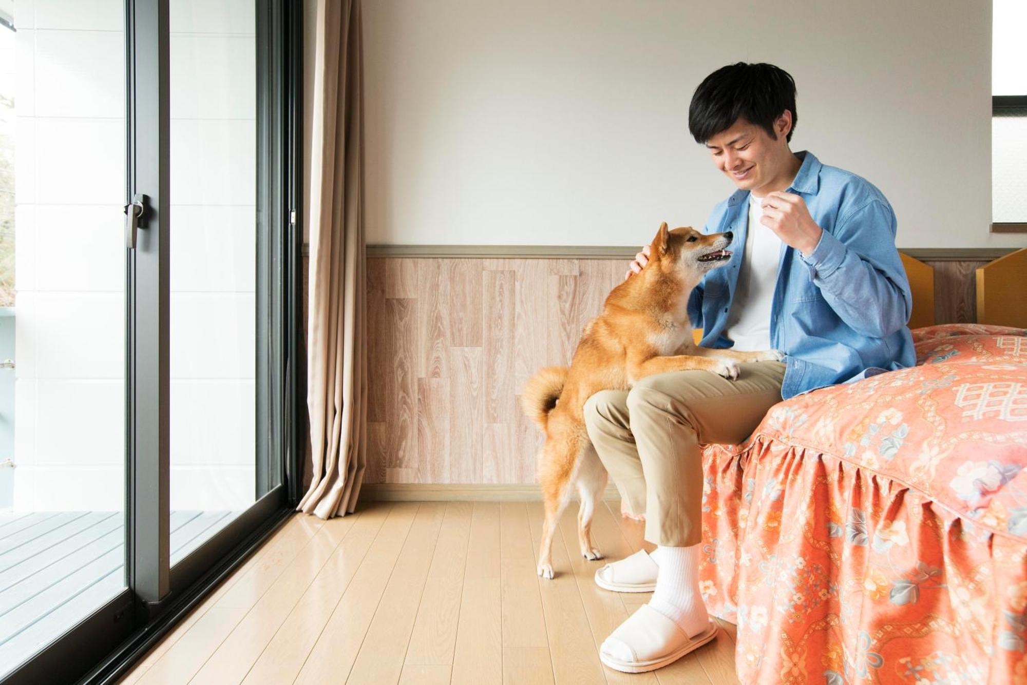 Izumigo Izukogen Dog Paradise Hotel & Cottage Ito  Zewnętrze zdjęcie